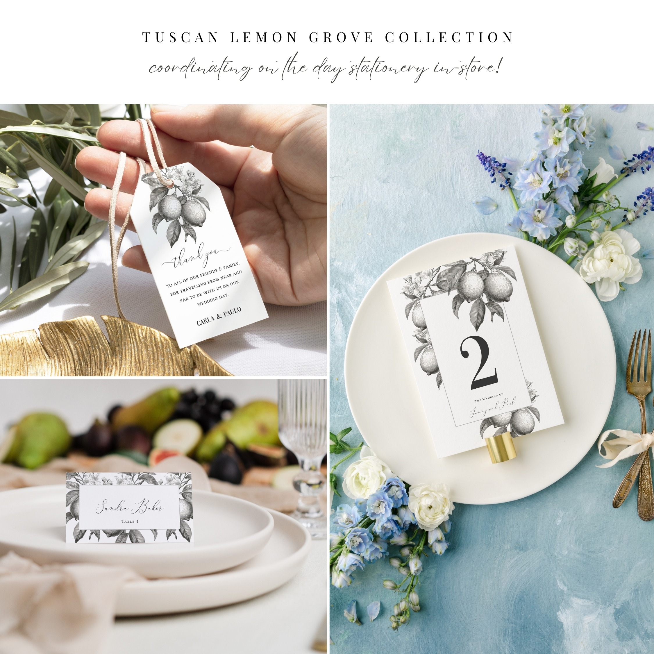 Tuscan Lemon Slim Wedding Menu - Image 10